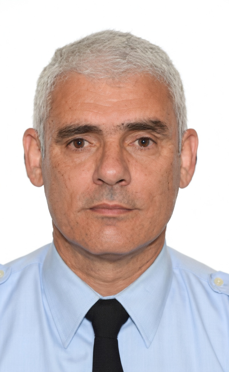 Fernando Roselló Verdaguer